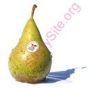 pear (Oops! image not found)